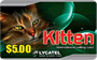 Kitten phone card for India